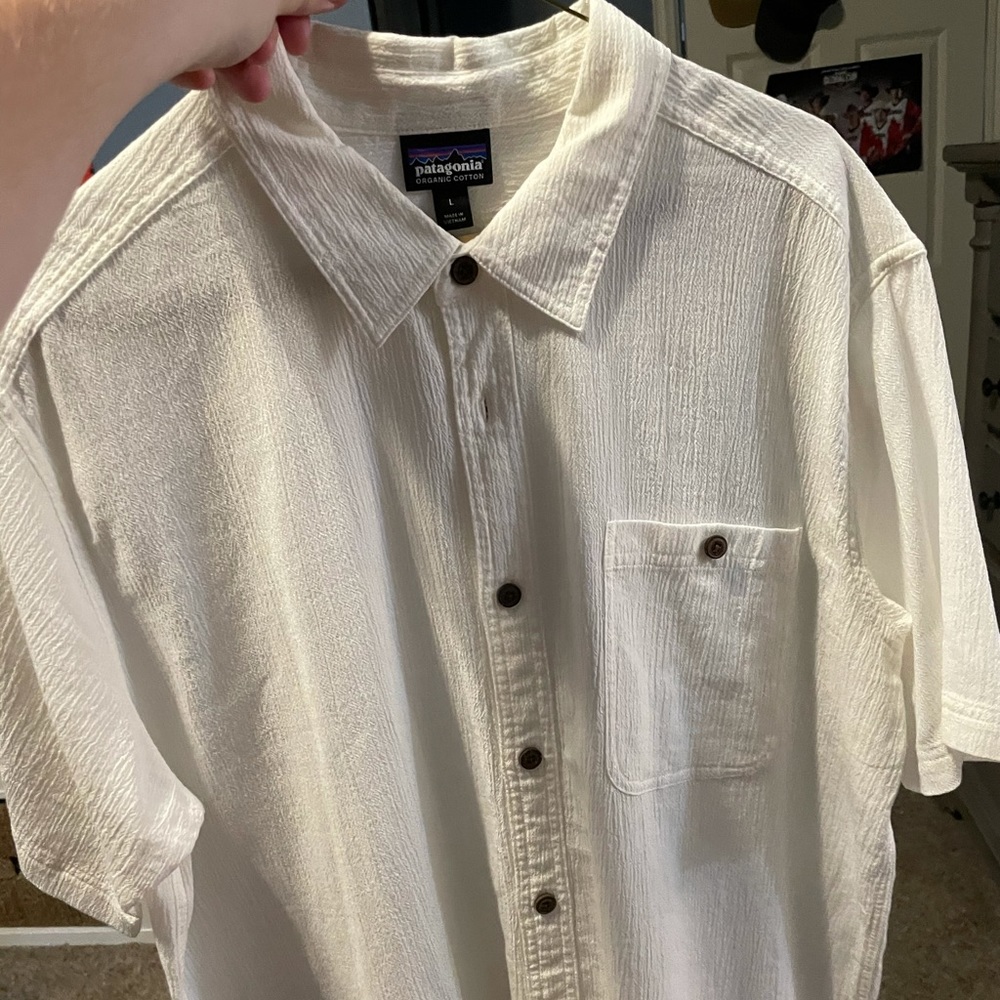 patagonia button down